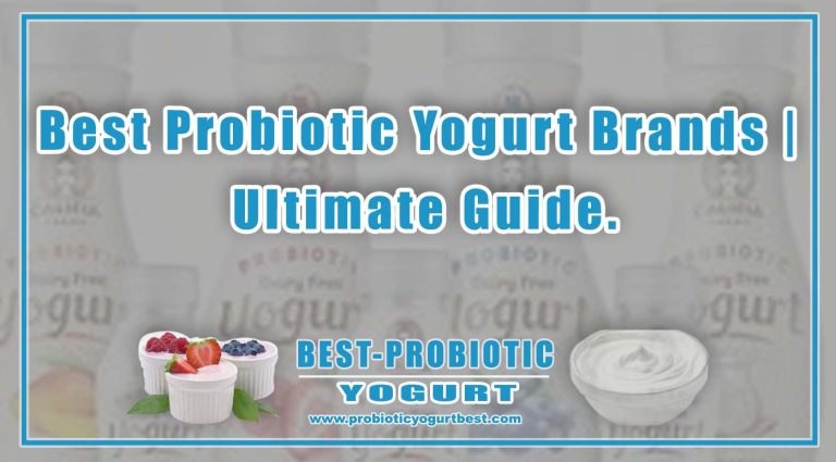 Best Probiotic Yogurt Brands Ultimate Guide Best Probiotic Yogurt 