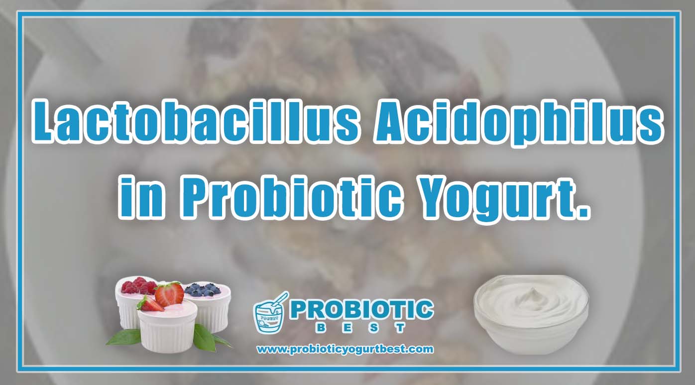 Lactobacillus Acidophilus in Probiotic Yogurt.