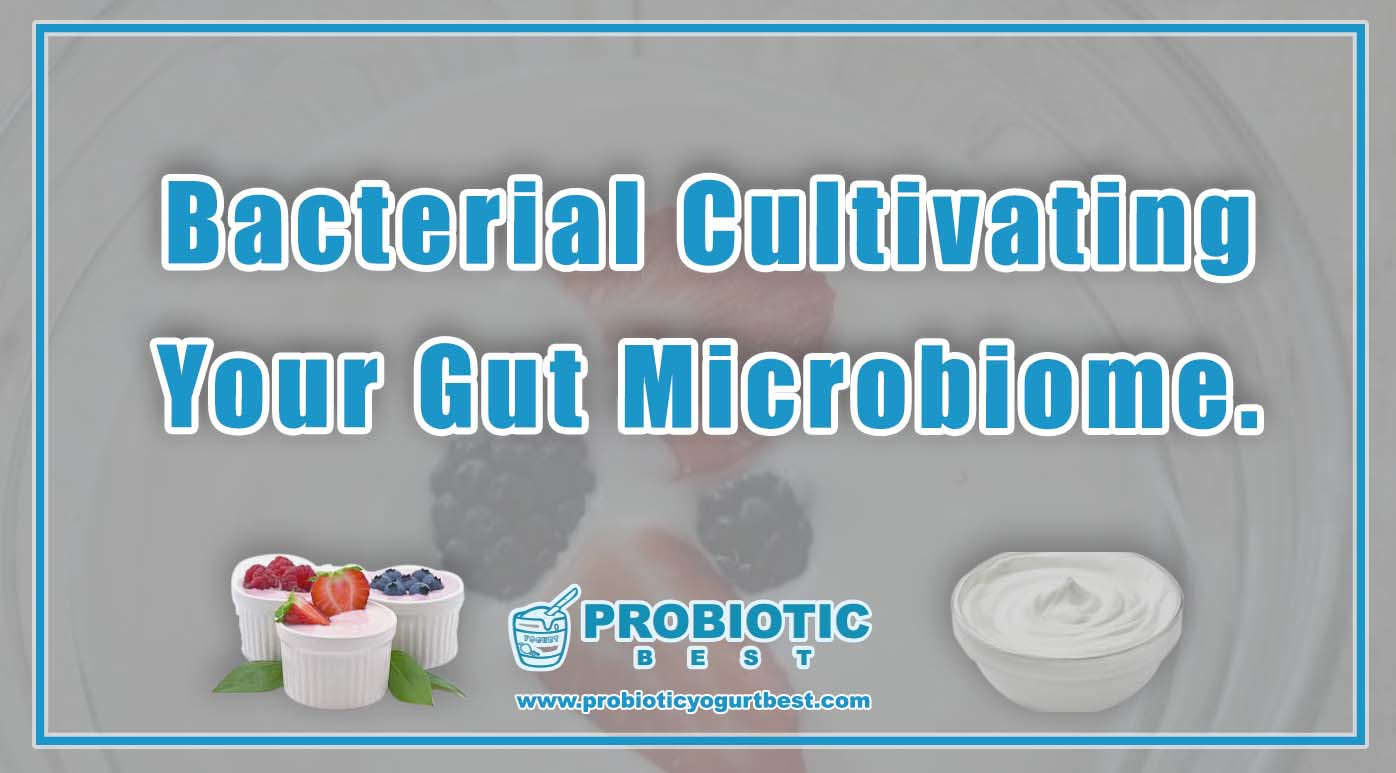 Bacterial | Cultivating Your Gut Microbiome.