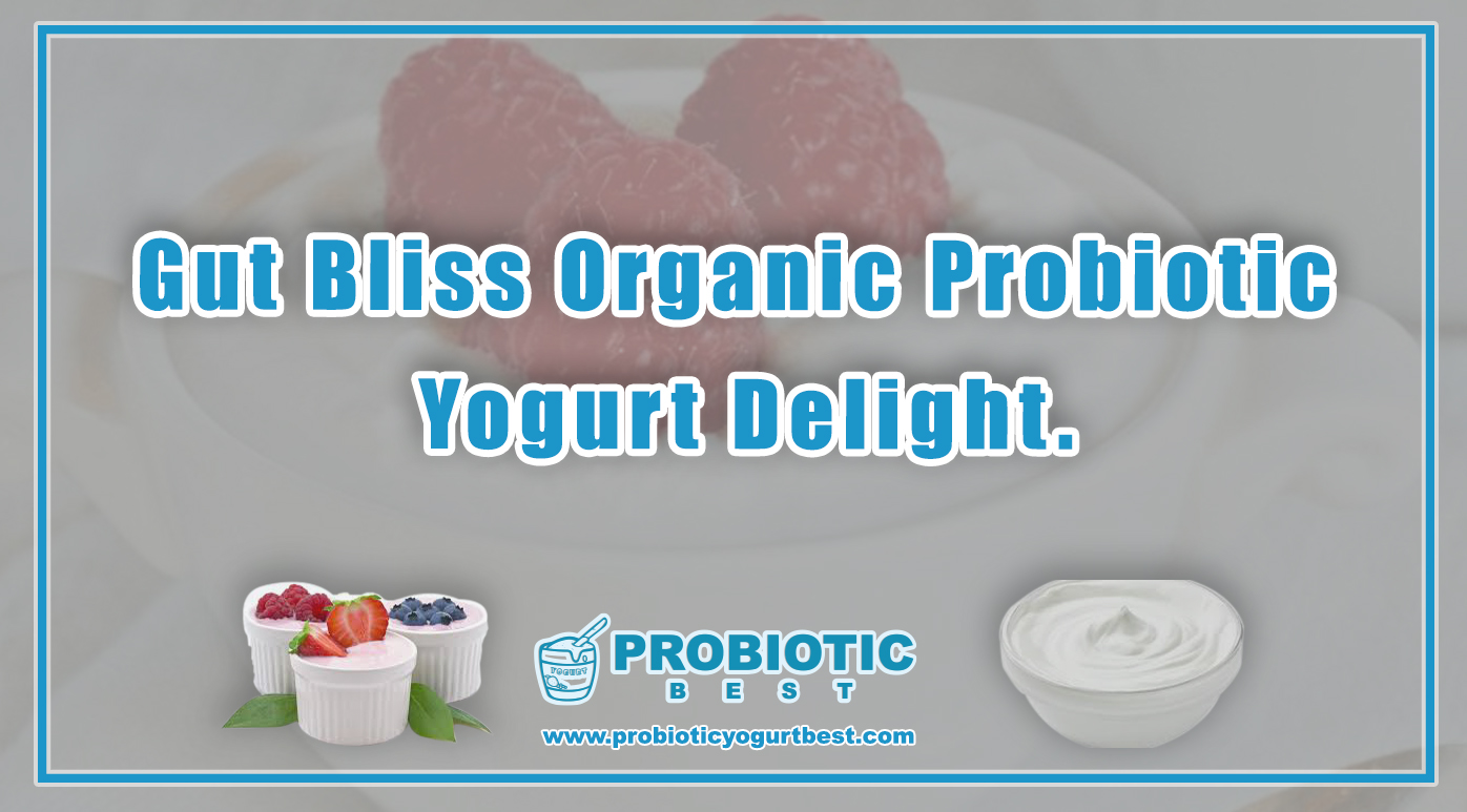 Gut Bliss Organic Probiotic Yogurt Delight Best Probiotic Yogurt 